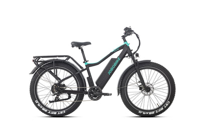 JOBOBIKE Robin Pro